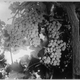 Illustration for article titled Grapes
